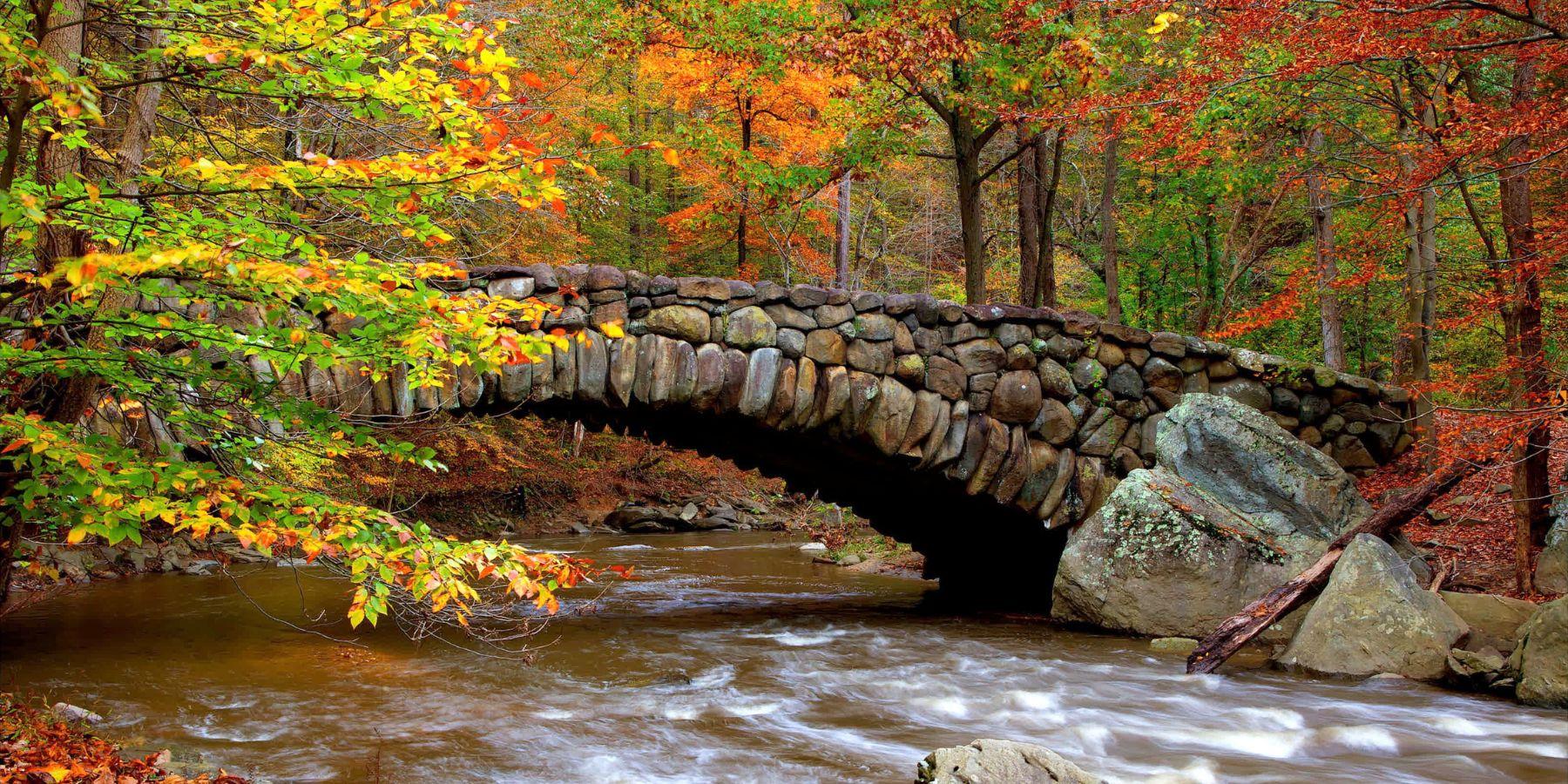 Rock Creek Park