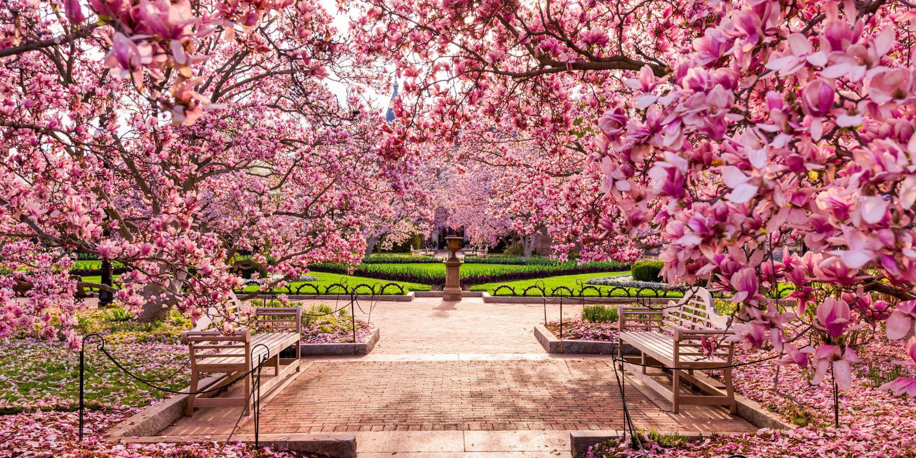 Moongate Garden